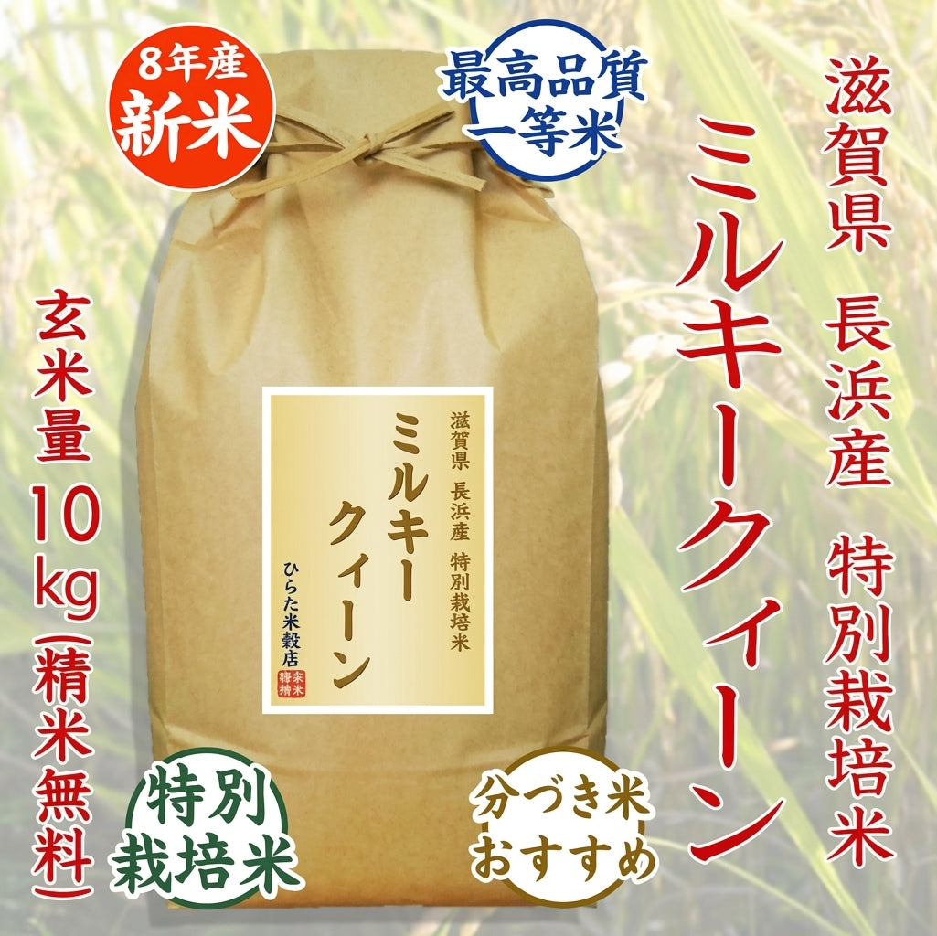 【令和8年産 新米】特別栽培米 ミルキークィーン|滋賀県長浜産