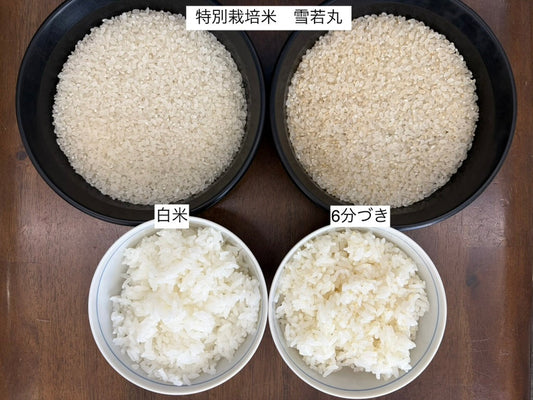 炊き比べしてみました！【特別栽培米 雪若丸】