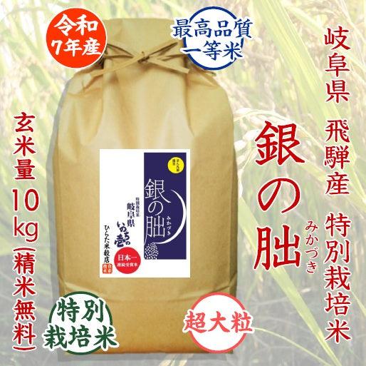 銀の朏(みかづき)｜岐阜県飛騨産
