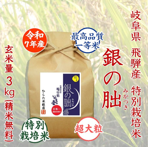 銀の朏(みかづき)｜岐阜県飛騨産