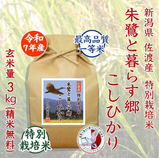 朱鷺（とき）と暮らす郷 こしひかり｜新潟県佐渡産