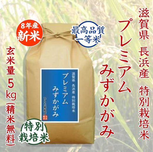 【令和8年産 新米】特別栽培米 プレミアムみずかがみ｜滋賀県長浜産
