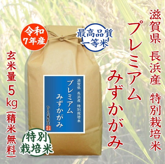 特別栽培米 プレミアムみずかがみ｜滋賀県長浜産