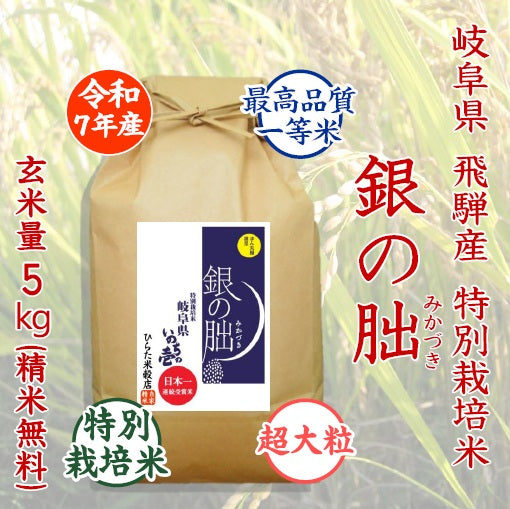 銀の朏(みかづき)｜岐阜県飛騨産