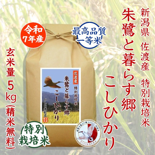 朱鷺（とき）と暮らす郷 こしひかり｜新潟県佐渡産