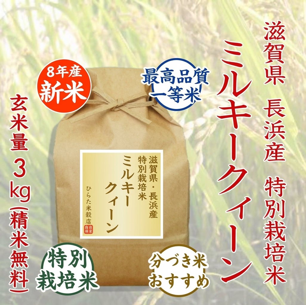 【令和8年産 新米】特別栽培米 ミルキークィーン｜滋賀県長浜産