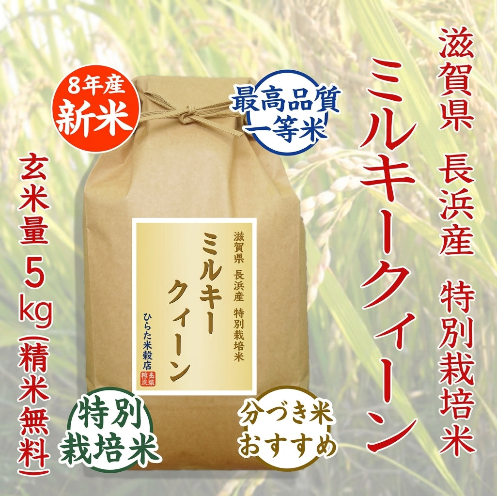 【令和8年産 新米】特別栽培米 ミルキークィーン｜滋賀県長浜産
