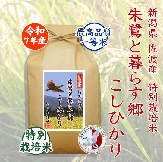 朱鷺（とき）と暮らす郷 こしひかり｜新潟県佐渡産
