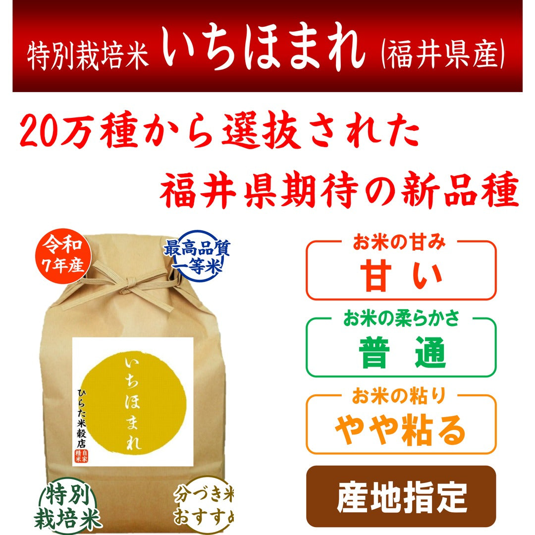 特別栽培米 いちほまれ｜福井県産