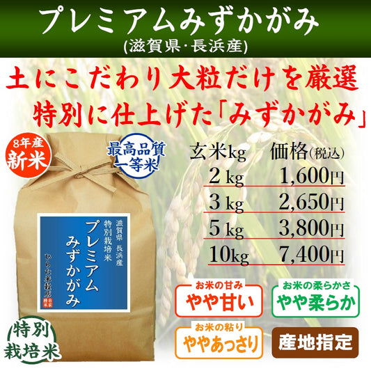 【令和8年産 新米】特別栽培米 プレミアムみずかがみ｜滋賀県長浜産