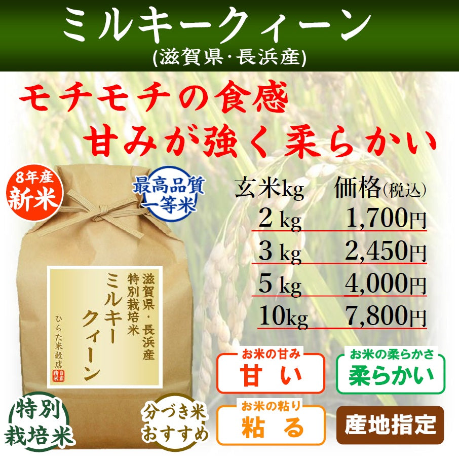 【令和8年産 新米】特別栽培米 ミルキークィーン｜滋賀県長浜産