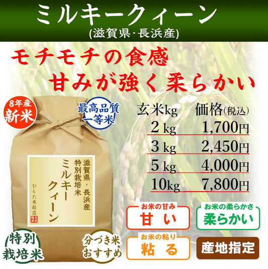 【令和8年産 新米】特別栽培米 ミルキークィーン｜滋賀県長浜産